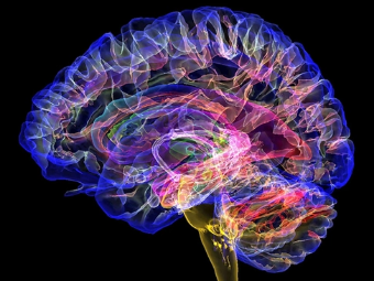 黄色视频操逼一级大脑植入物有助于严重头部损伤恢复